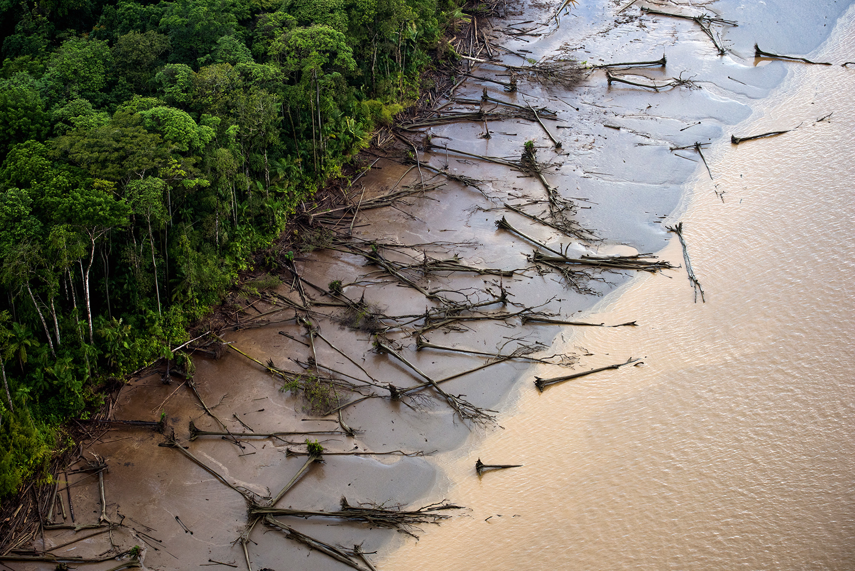 Effects of Deforestation: Impact on the Environment - Climate Transform